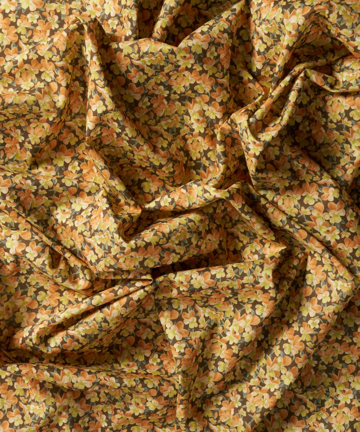 サマセット・パンジー オーガニック・タナローン