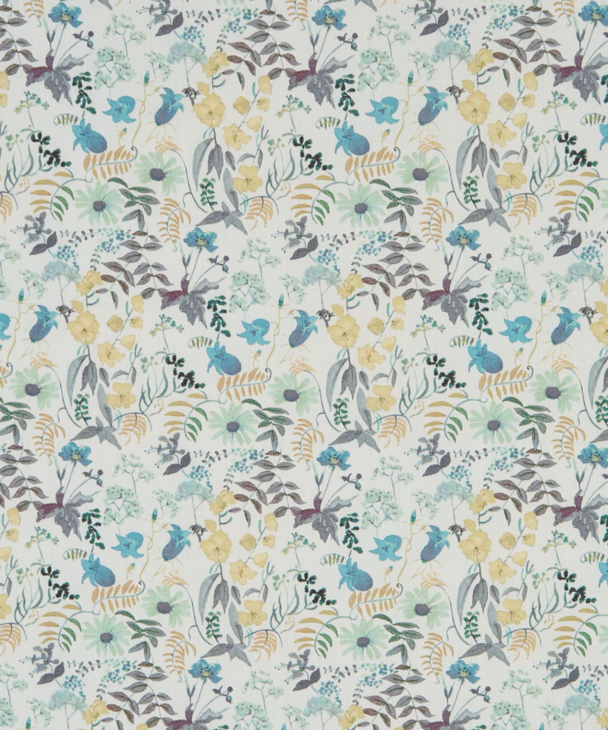 チャートウェル・ブルームス オーガニック・タナローン