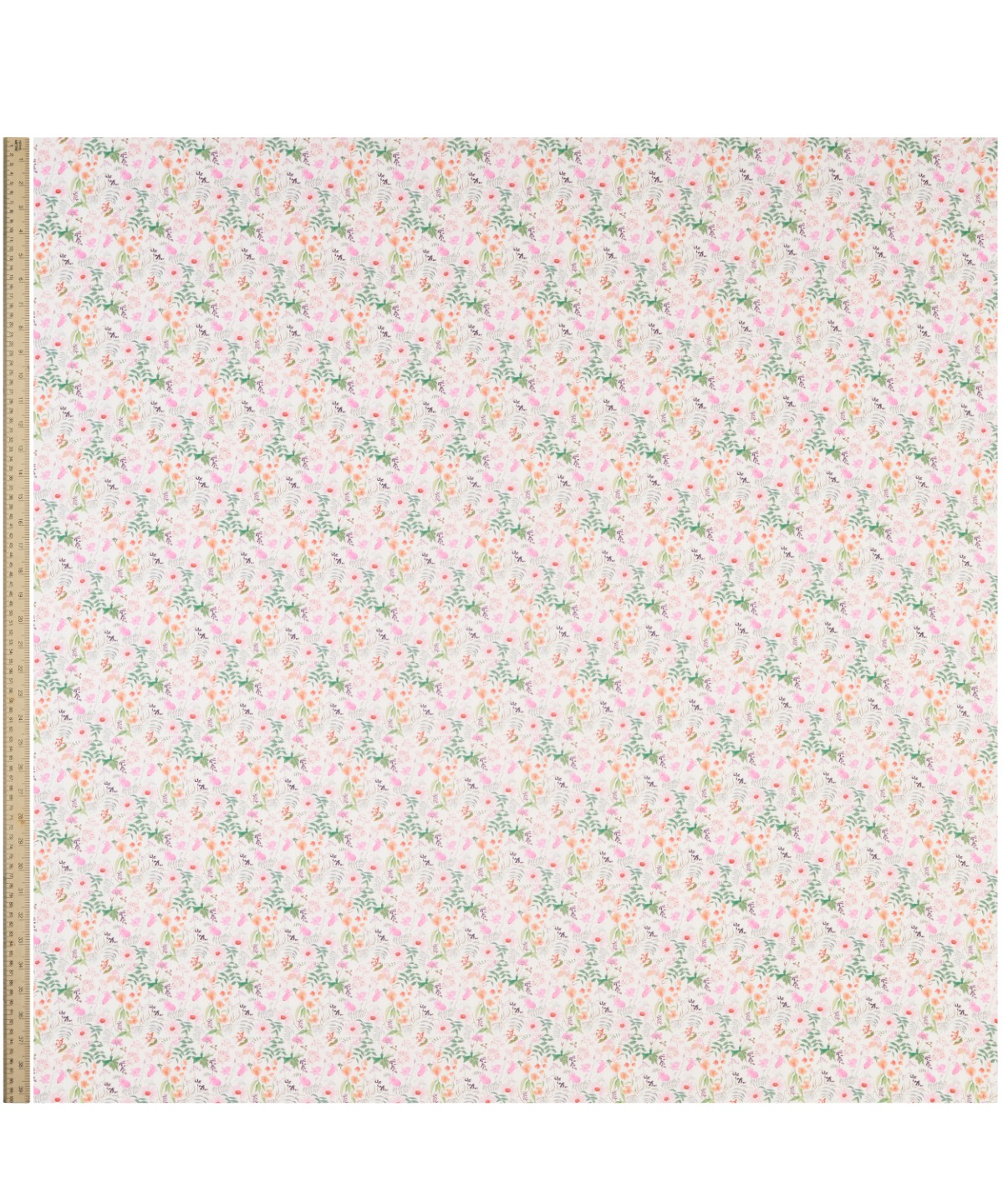 チャートウェル・ブルームス オーガニック・タナローン