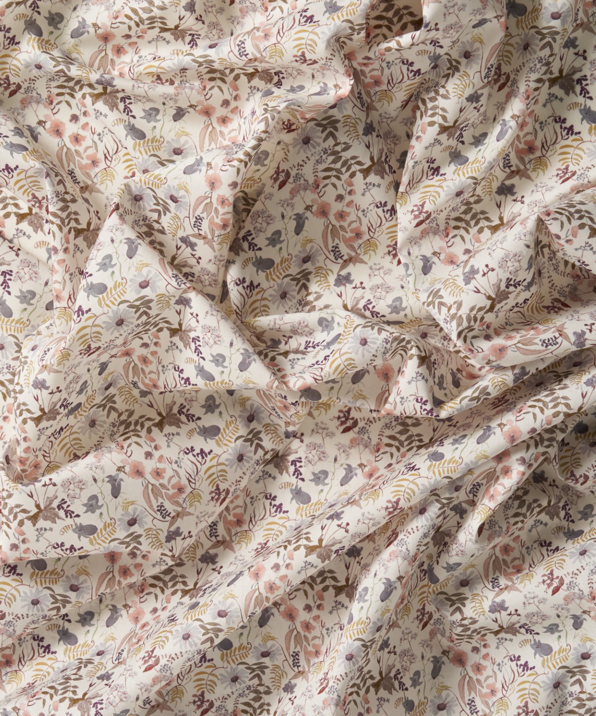 チャートウェル・ブルームス オーガニック・タナローン