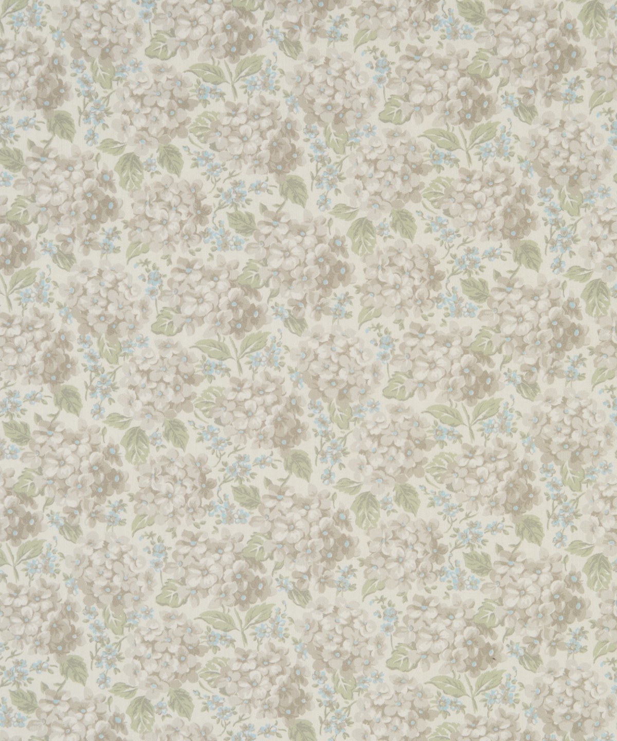 ハンプシャー・ハイドランジア オーガニック・タナローン