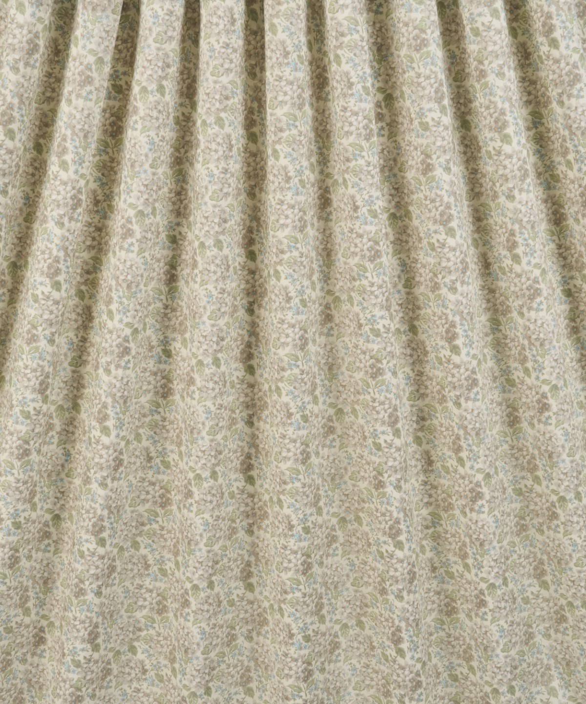 ハンプシャー・ハイドランジア オーガニック・タナローン