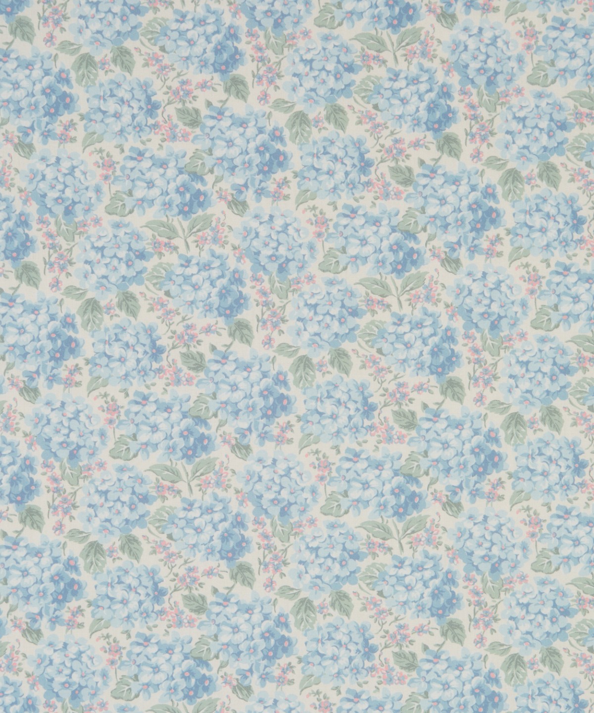 ハンプシャー・ハイドランジア オーガニック・タナローン