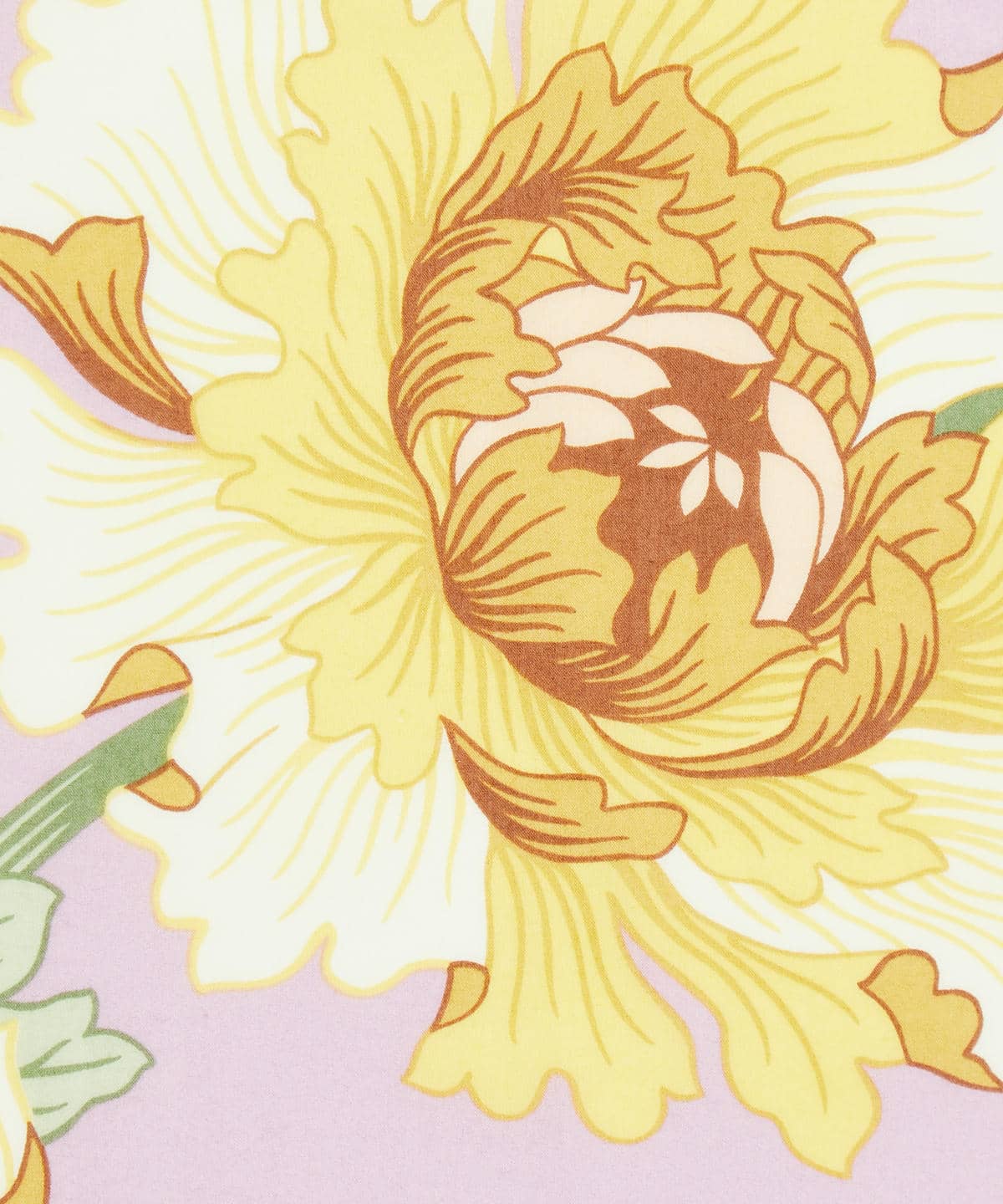 モダン・ダンディ タナローン