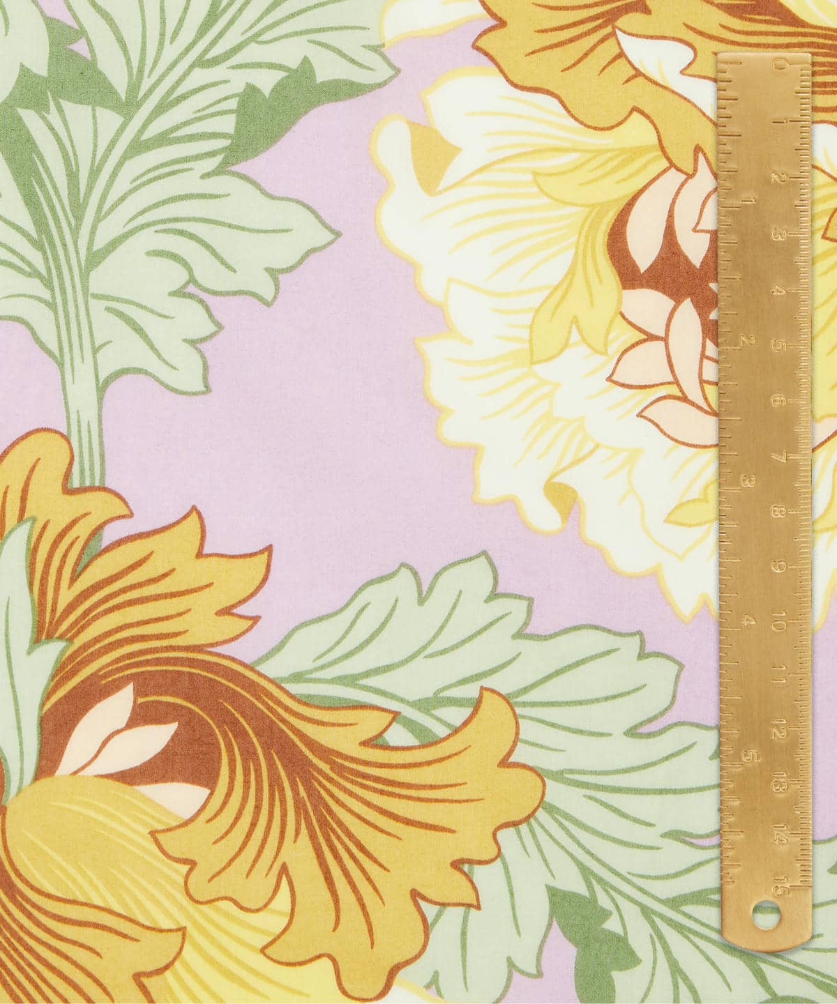 モダン・ダンディ タナローン