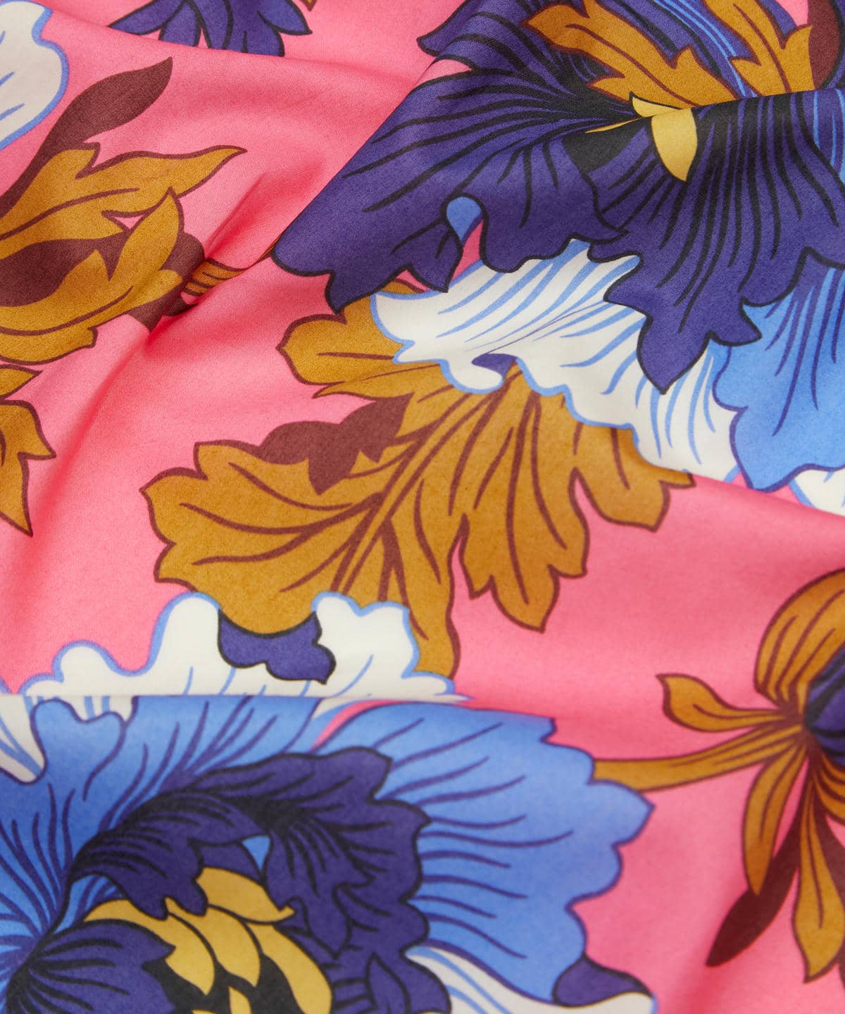 モダン・ダンディ タナローン