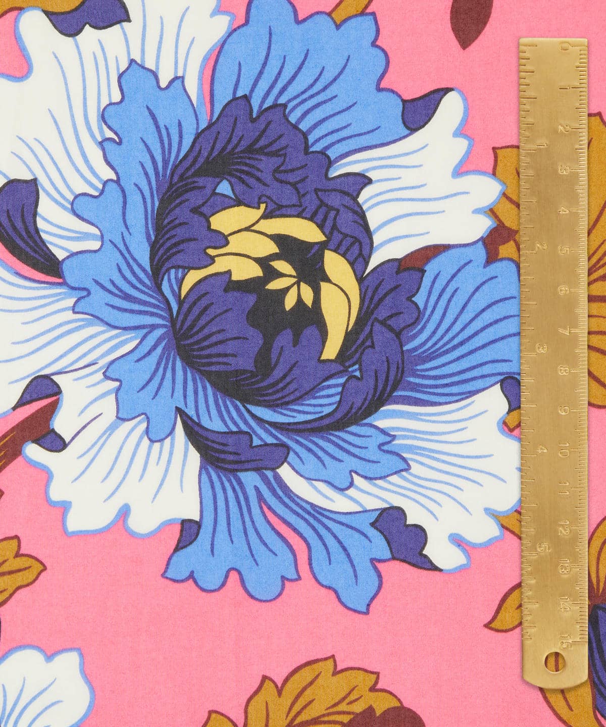 モダン・ダンディ タナローン