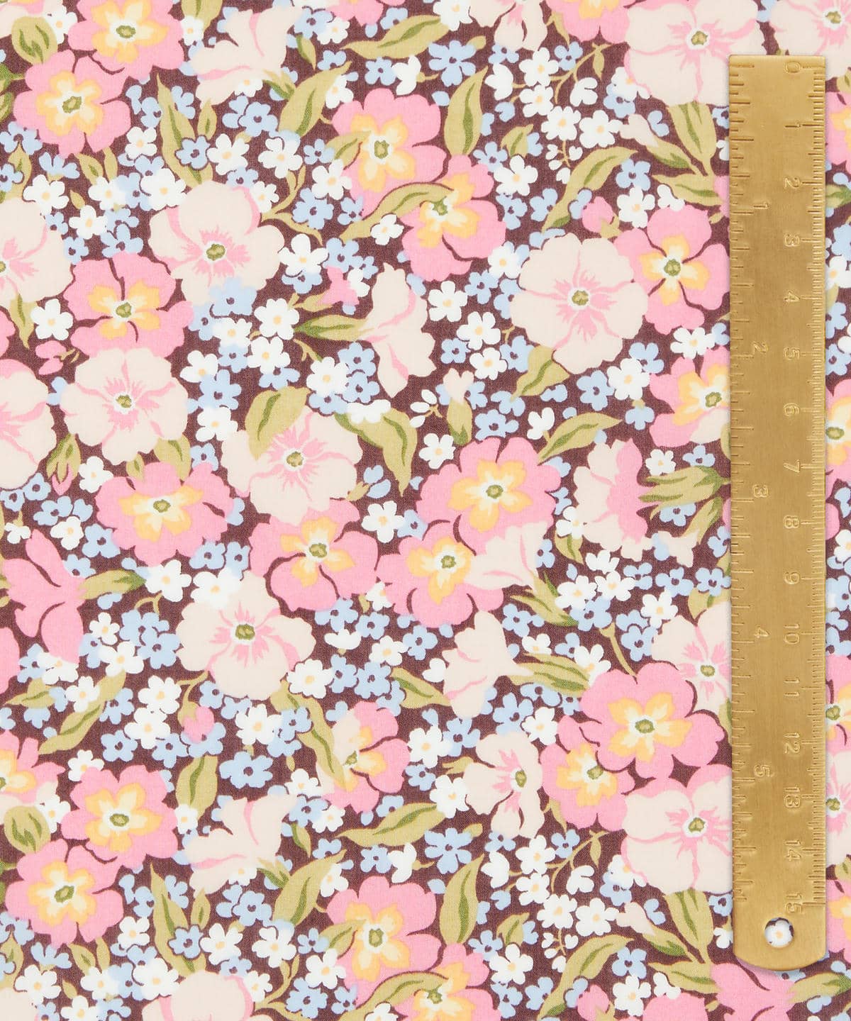 ガブリエラ・ジスー タナローン