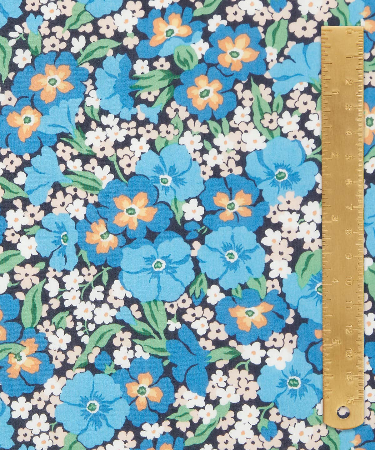 ガブリエラ・ジスー タナローン