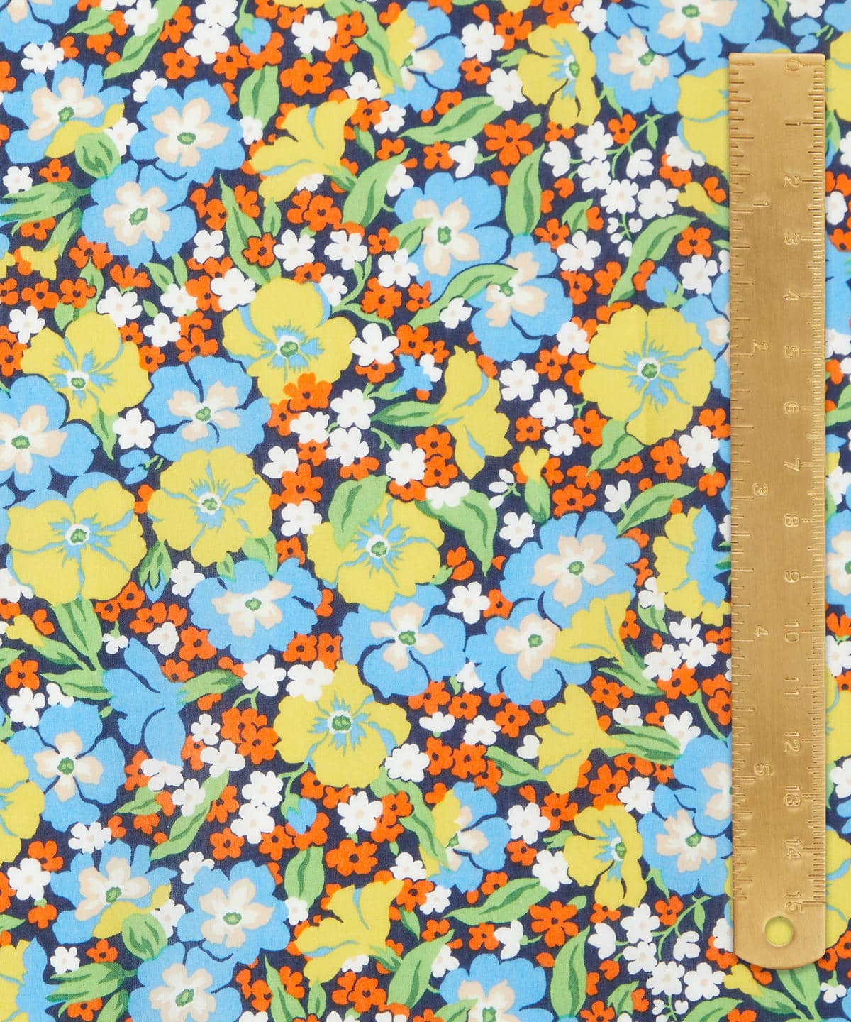 ガブリエラ・ジスー タナローン