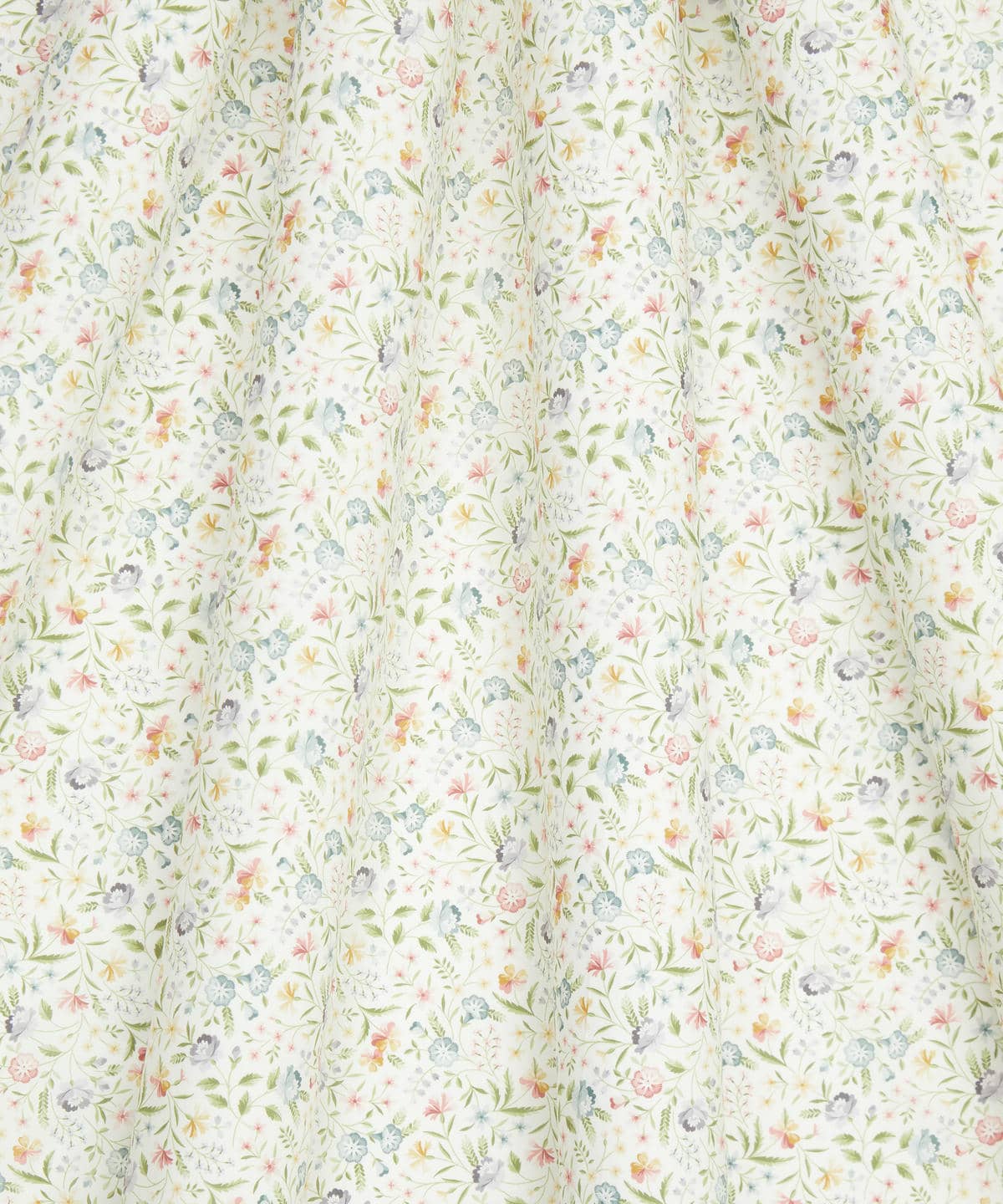 ロビン・エミリー タナローン