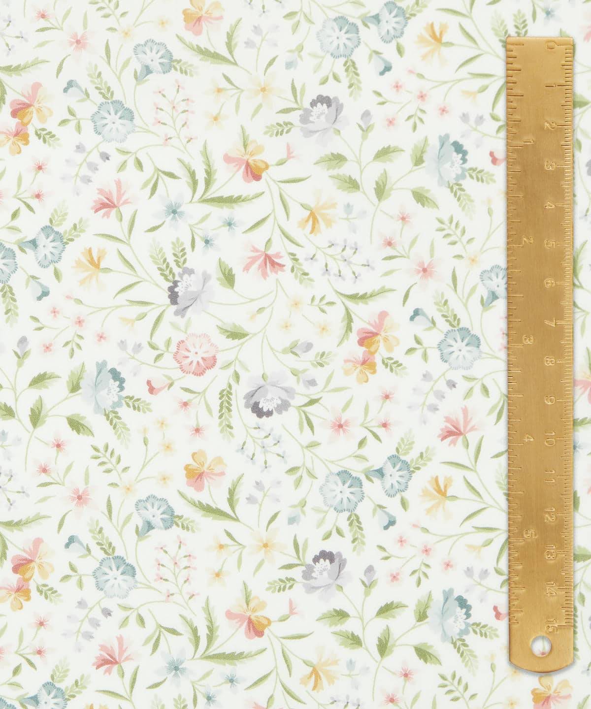 ロビン・エミリー タナローン