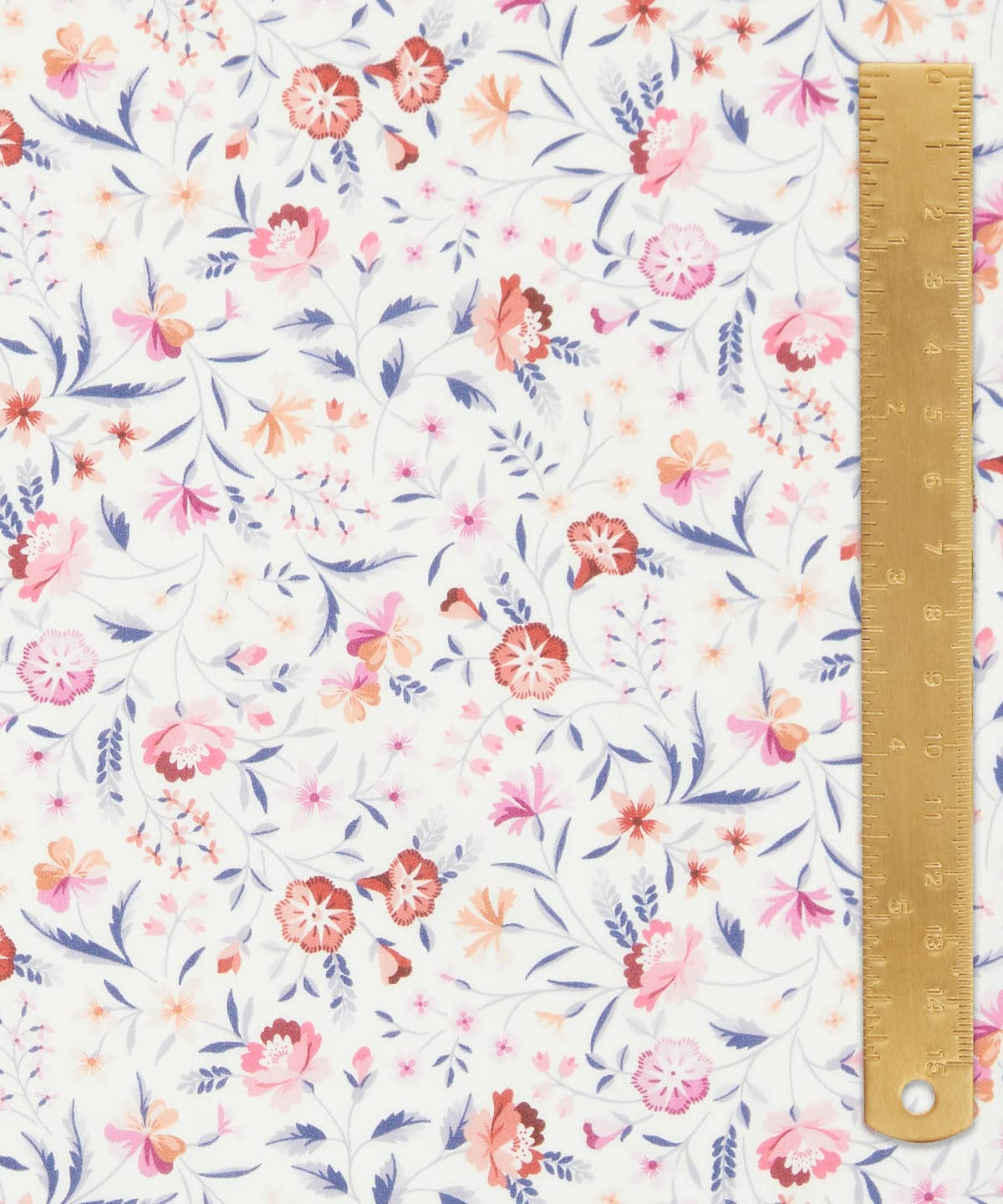 ロビン・エミリー タナローン