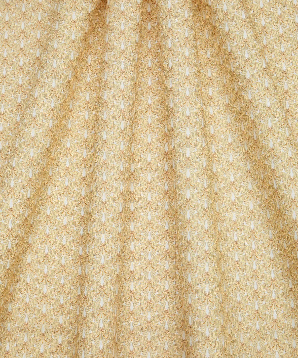 バッスル・アンド・ボウ タナローン