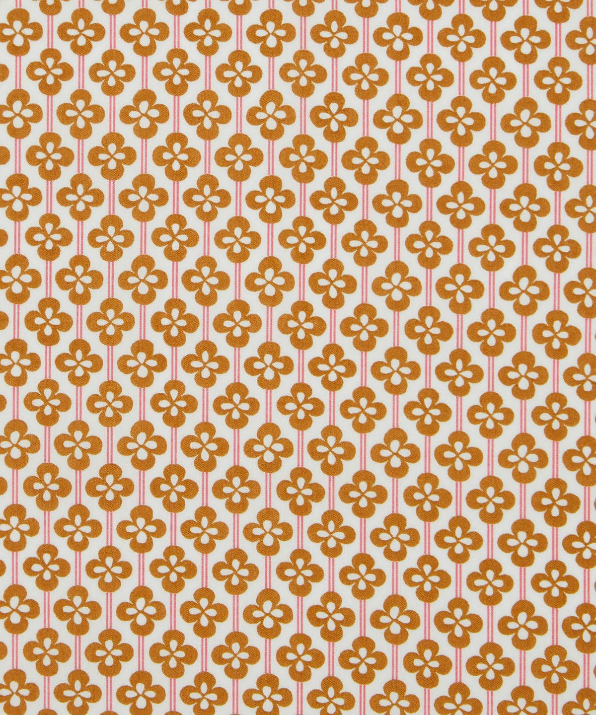 クローバー・フィールズ タナローン