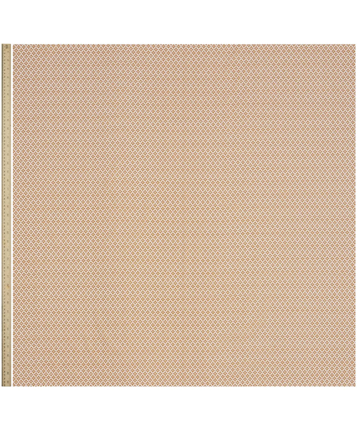 クローバー・フィールズ タナローン