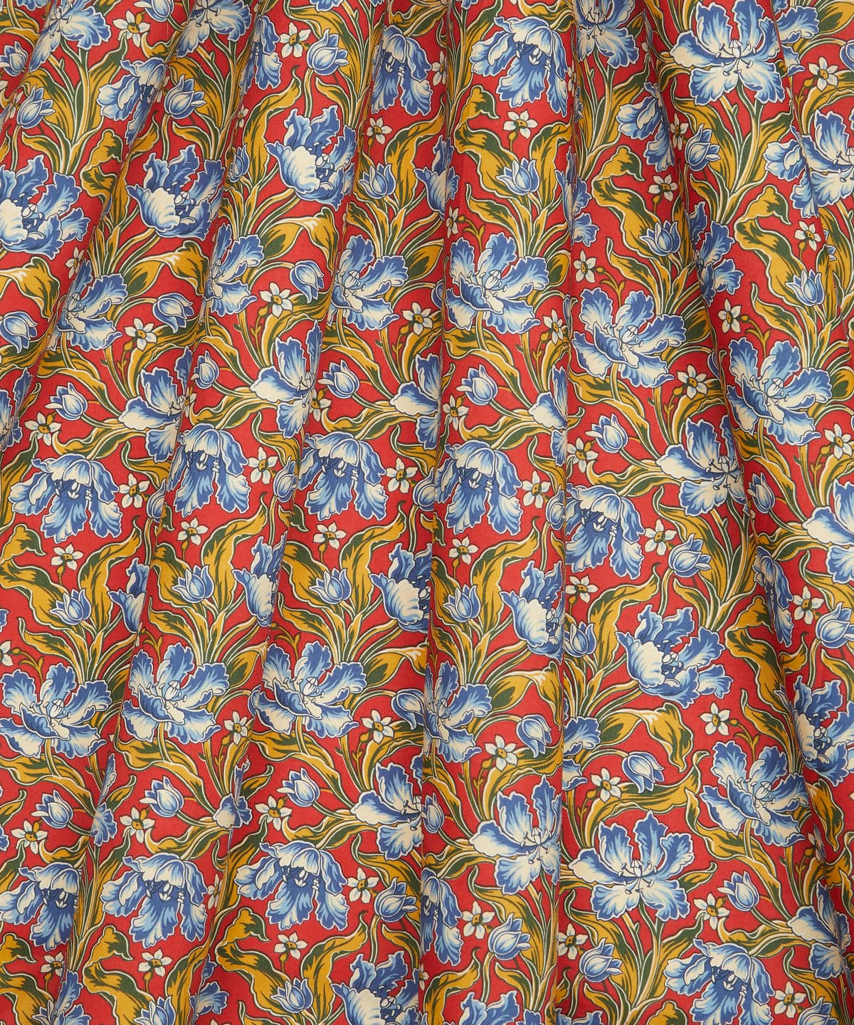 アーカイブ・チューリップス タナローン