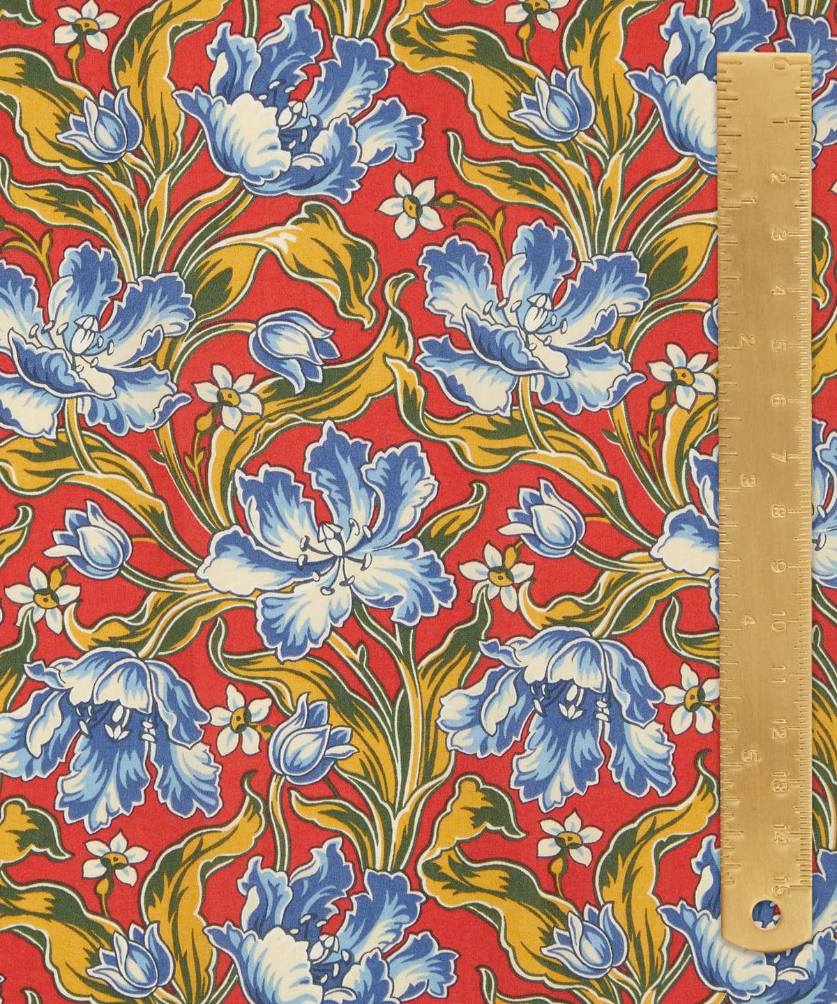 アーカイブ・チューリップス タナローン