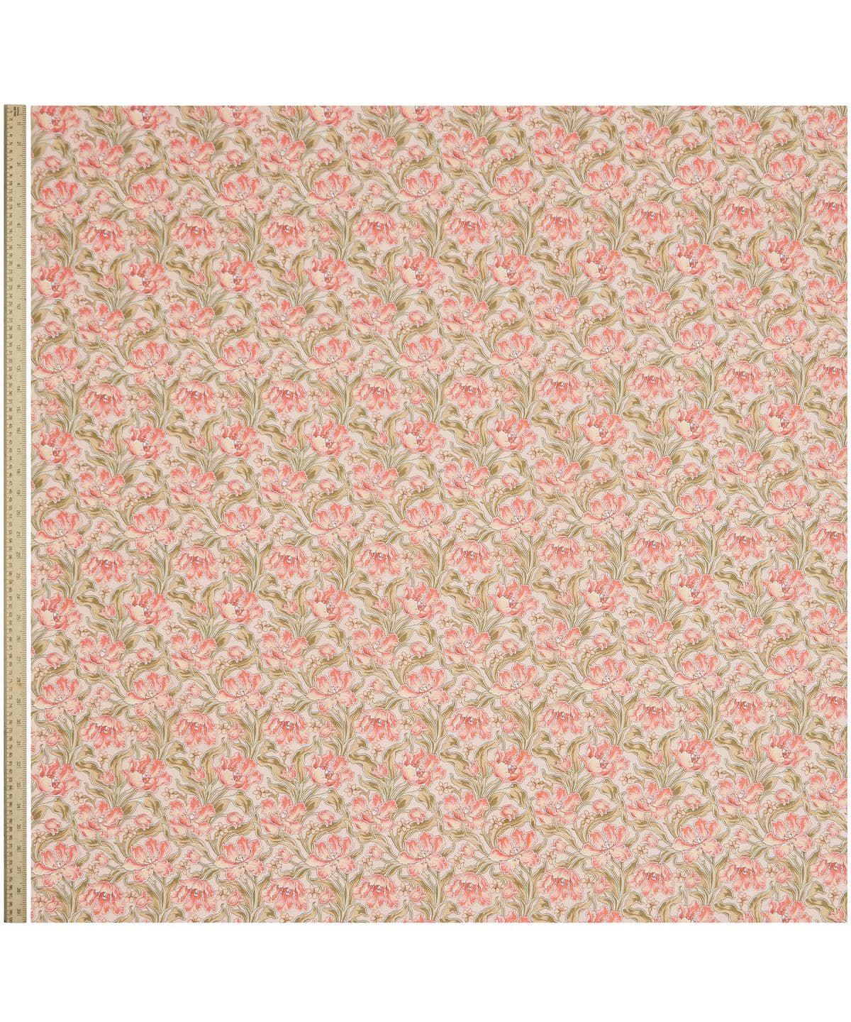 アーカイブ・チューリップス タナローン