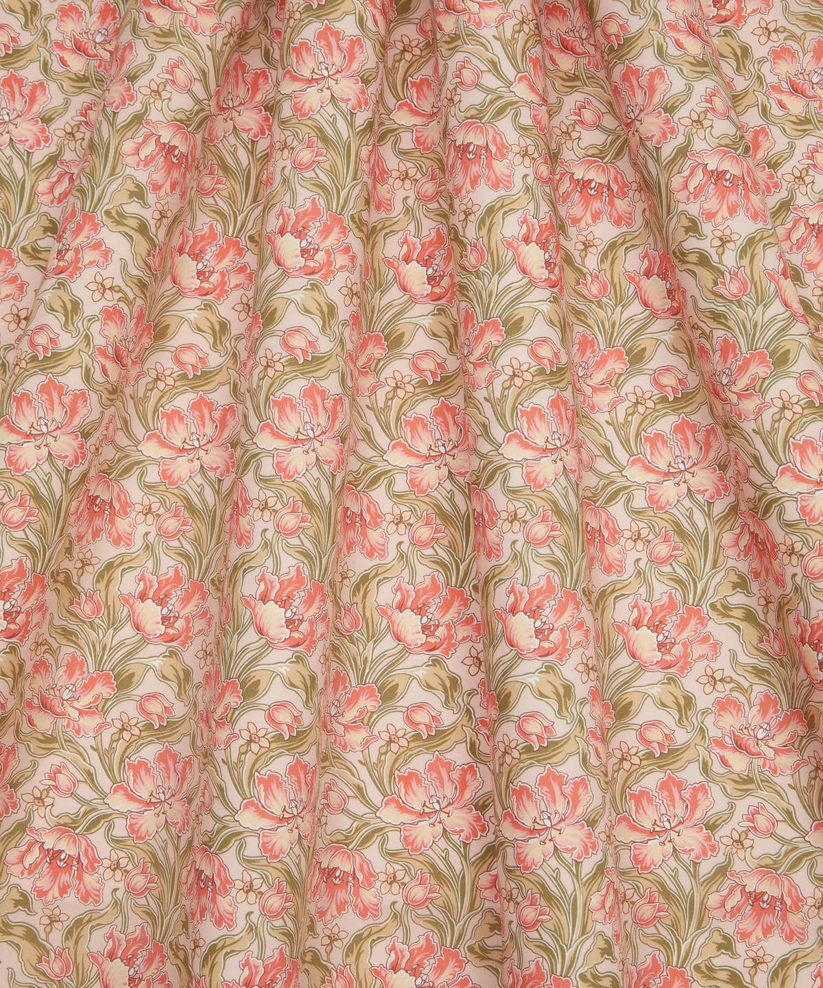 アーカイブ・チューリップス タナローン