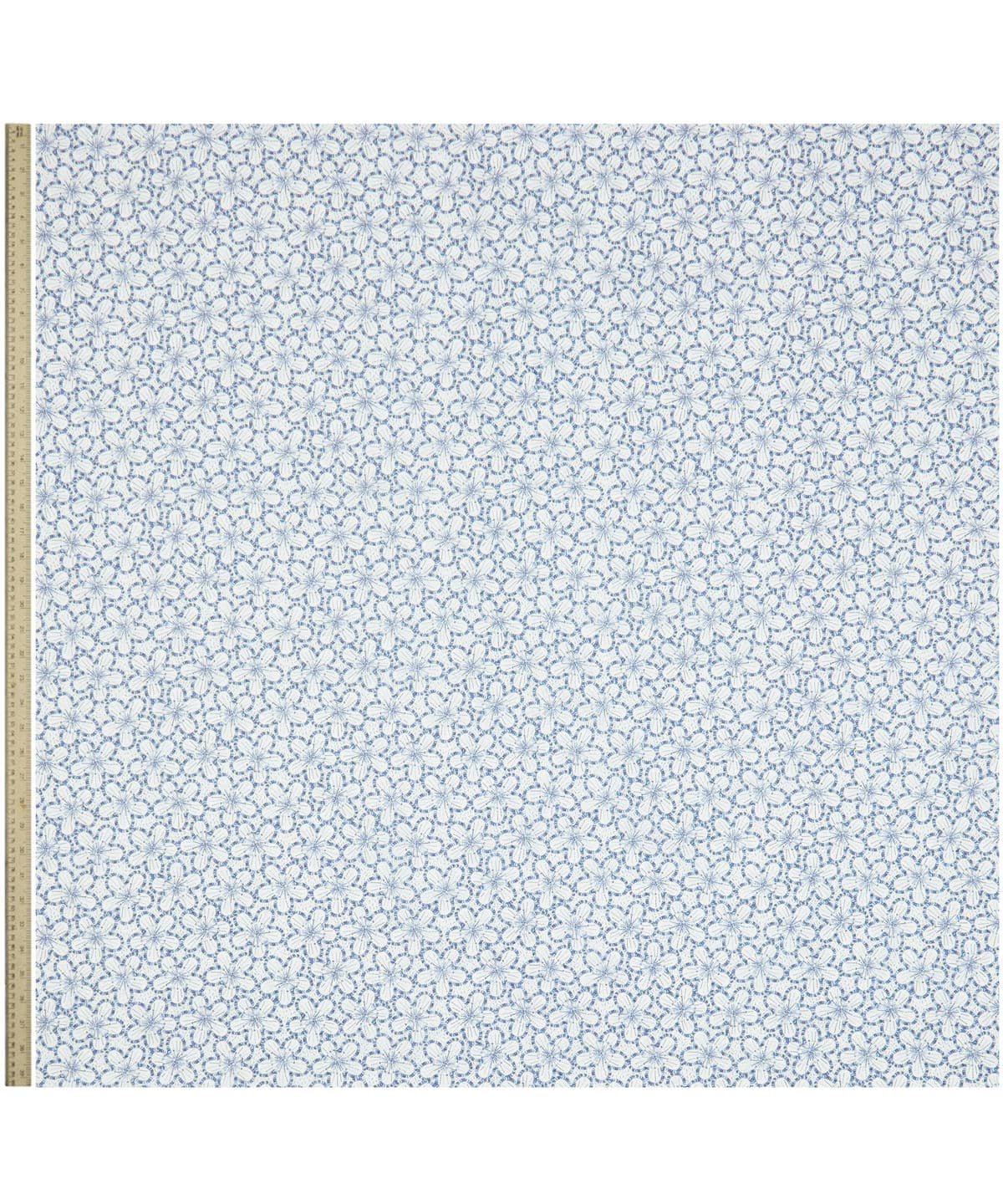 シークイン・スキャッター タナローン