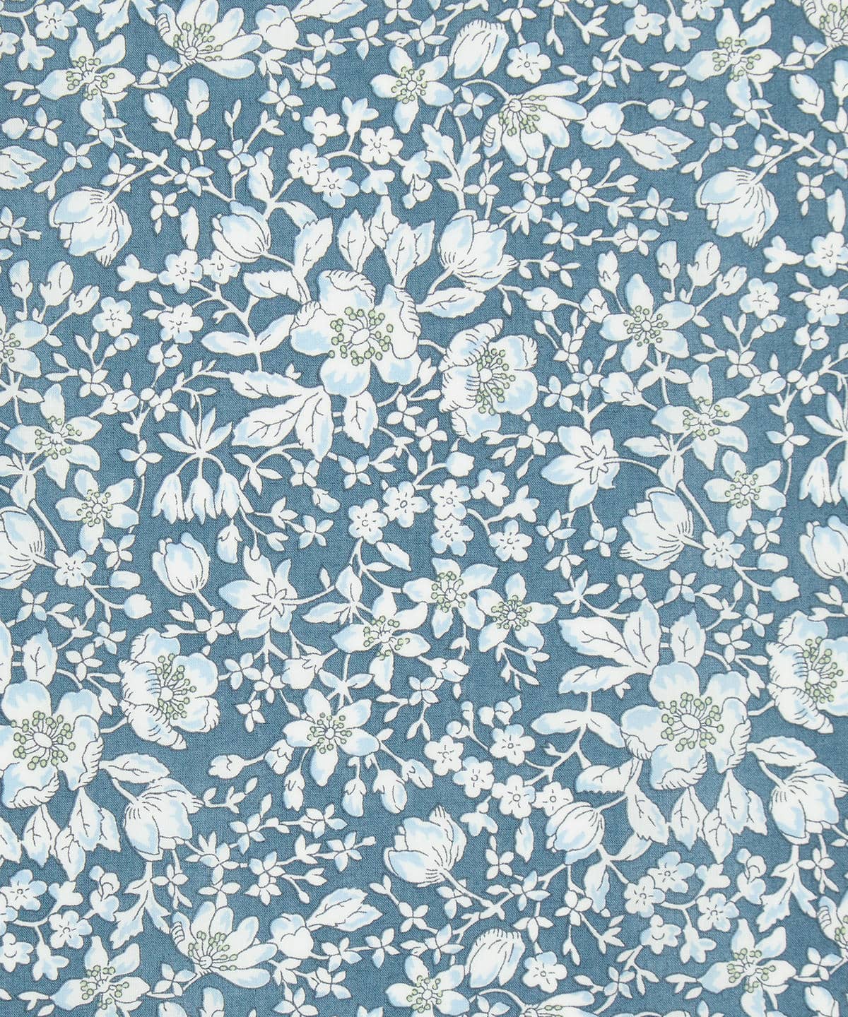 リジー タナローン