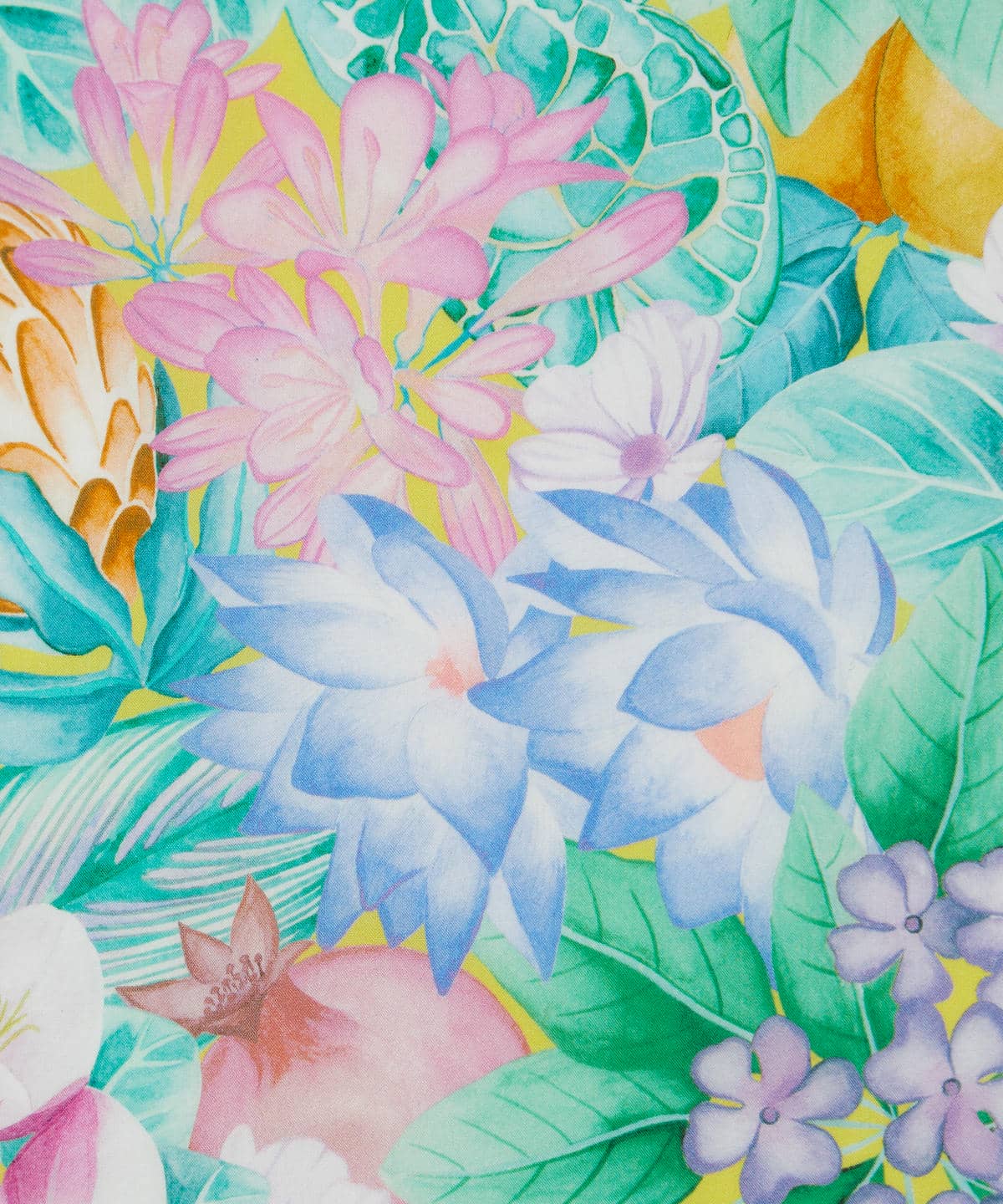 ポピー・アンド・フレディ タナローン