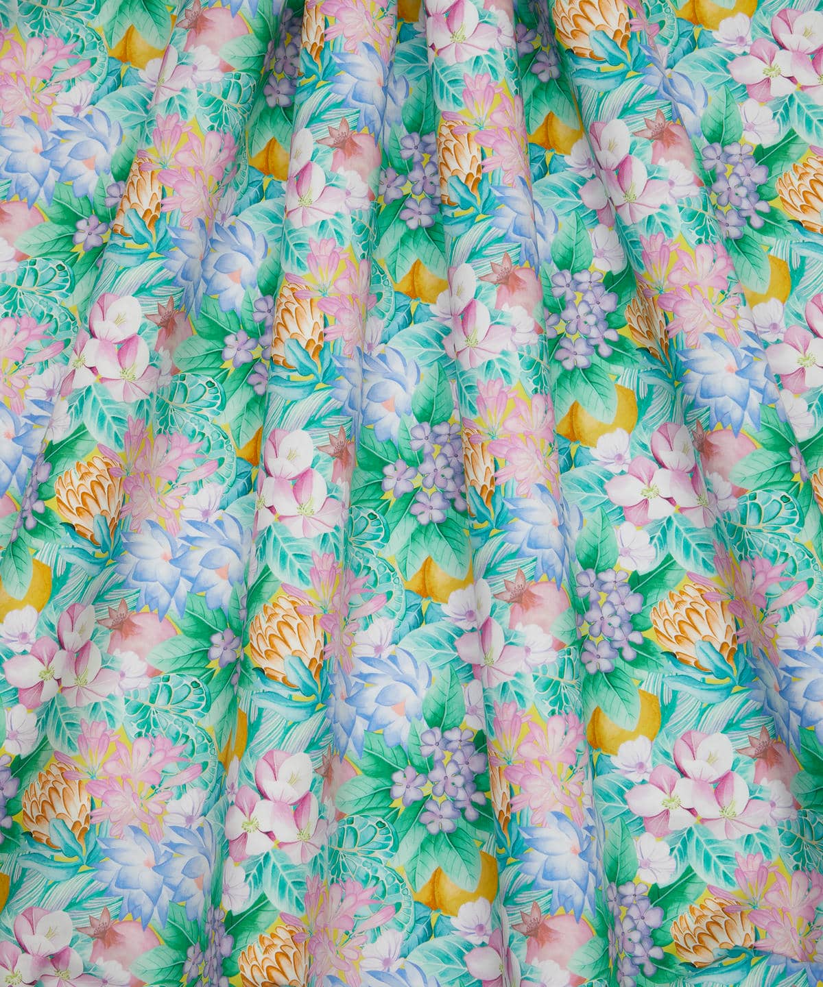 ポピー・アンド・フレディ タナローン