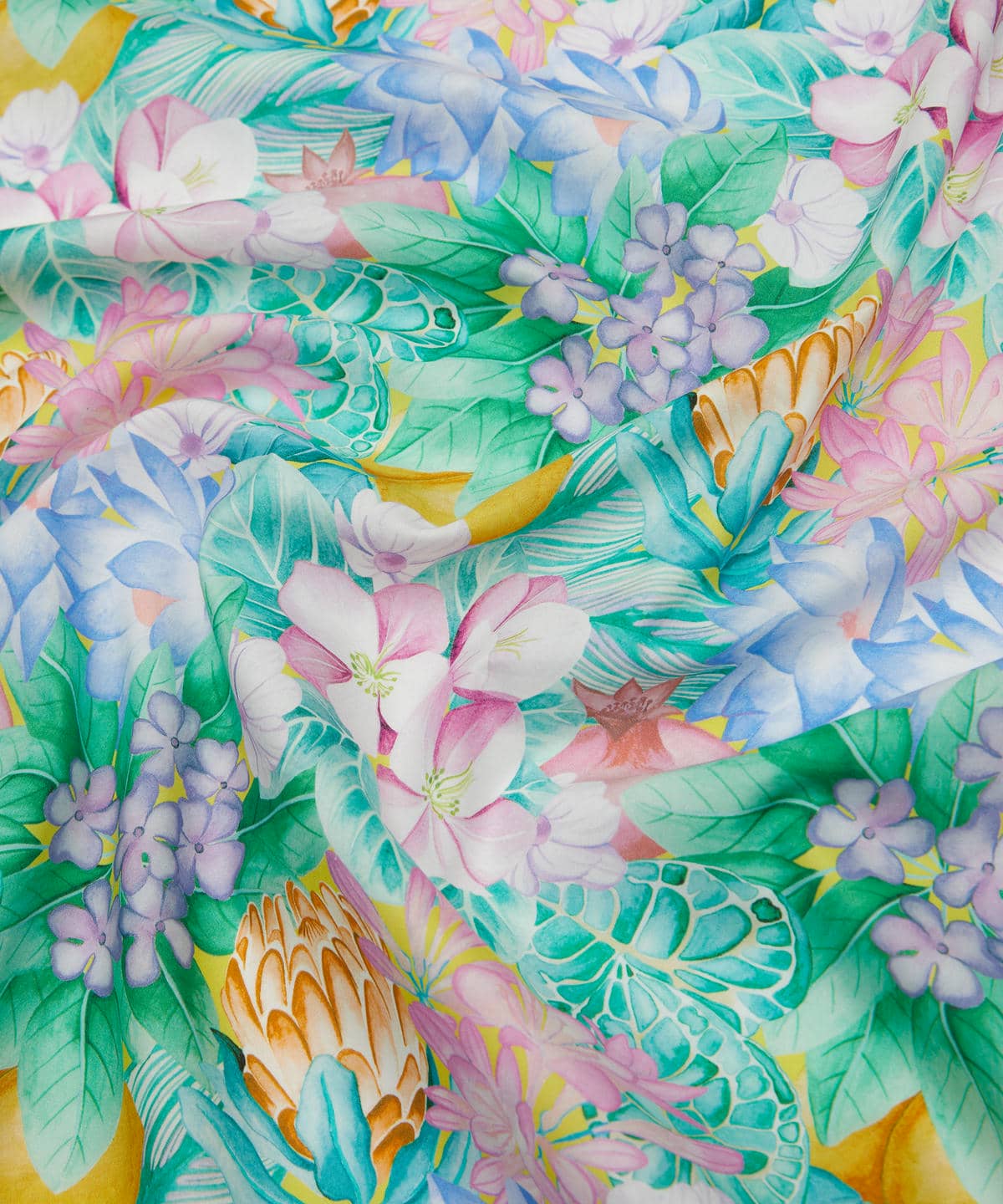 ポピー・アンド・フレディ タナローン