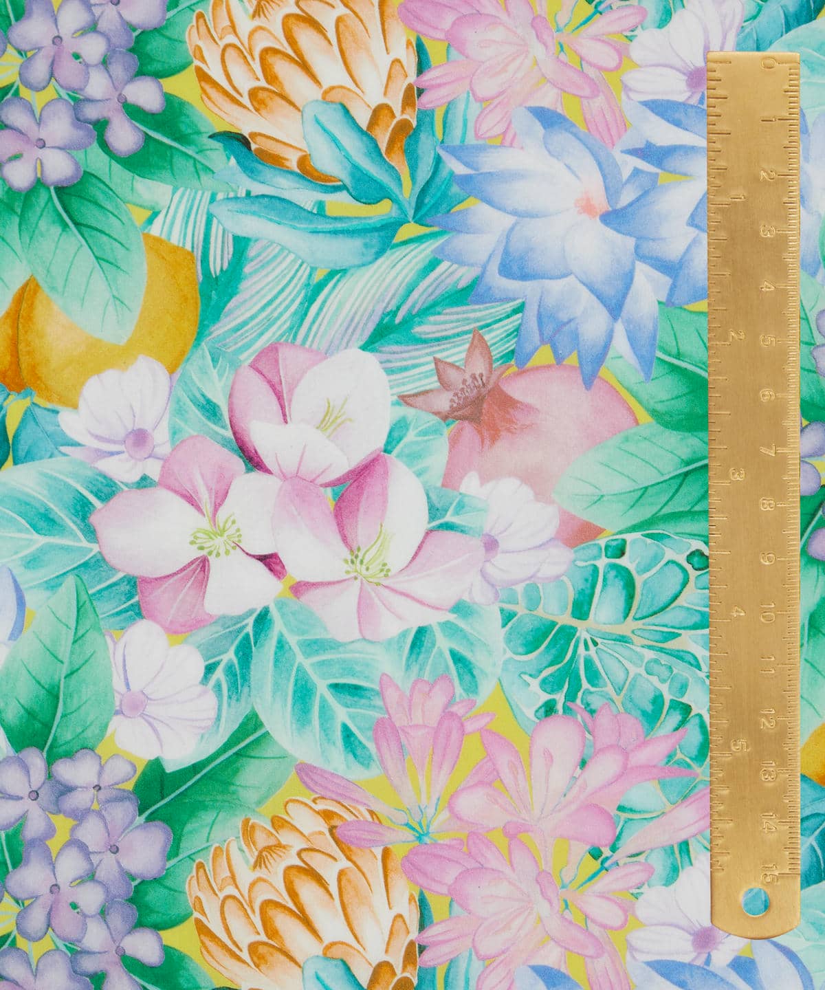 ポピー・アンド・フレディ タナローン