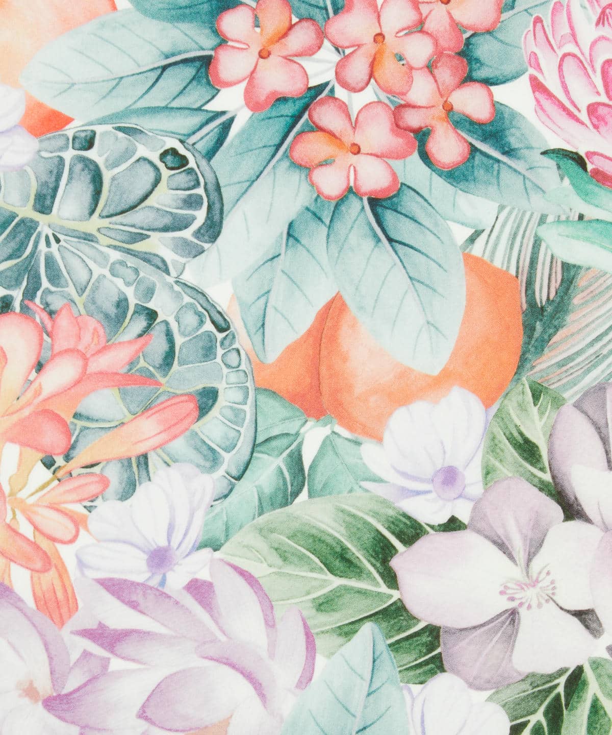 ポピー・アンド・フレディ タナローン