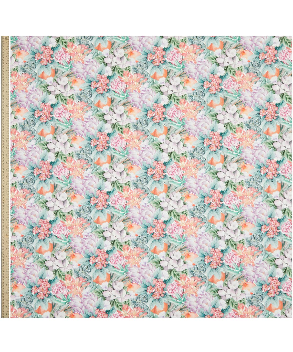 ポピー・アンド・フレディ タナローン