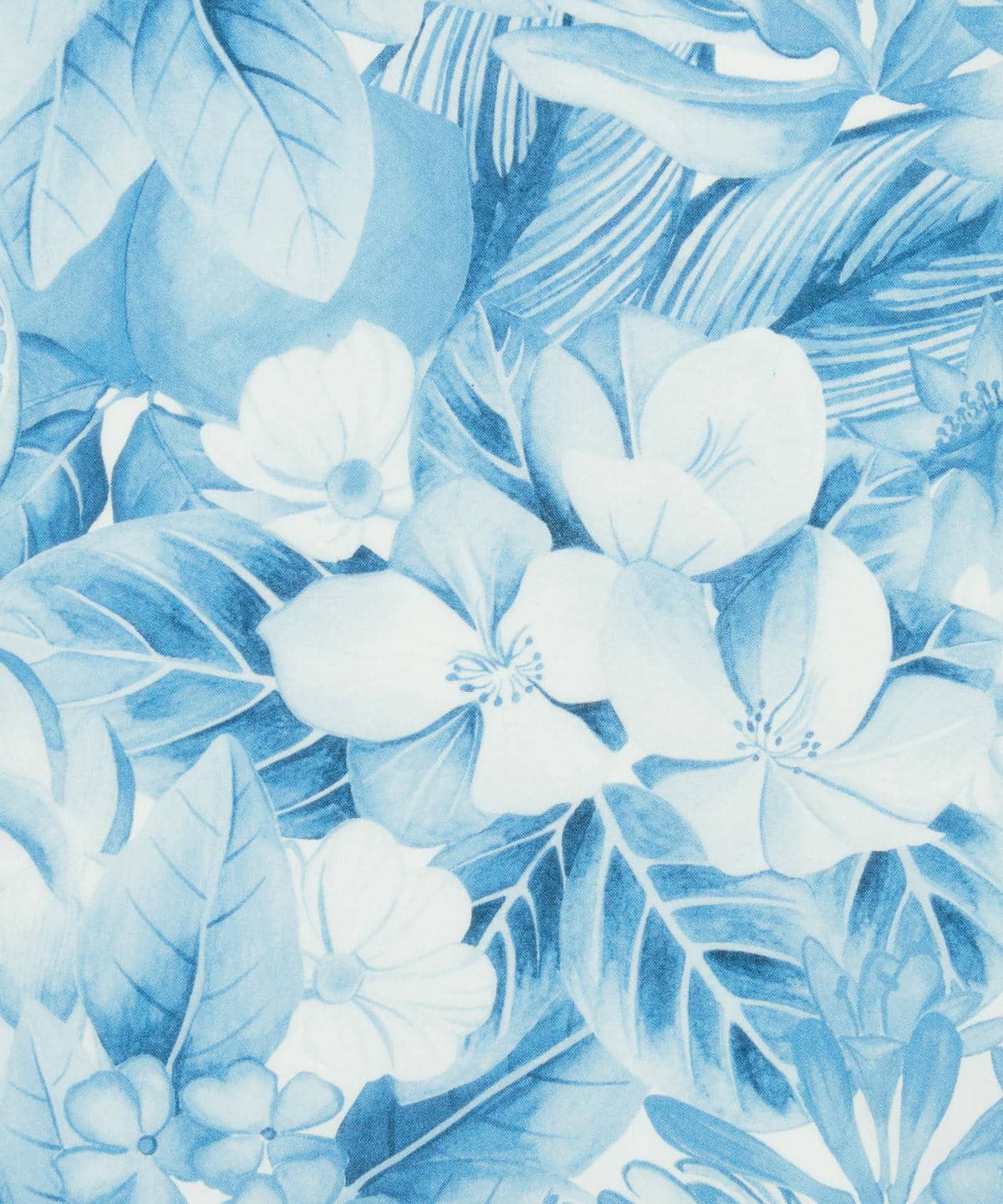 ポピー・アンド・フレディ タナローン