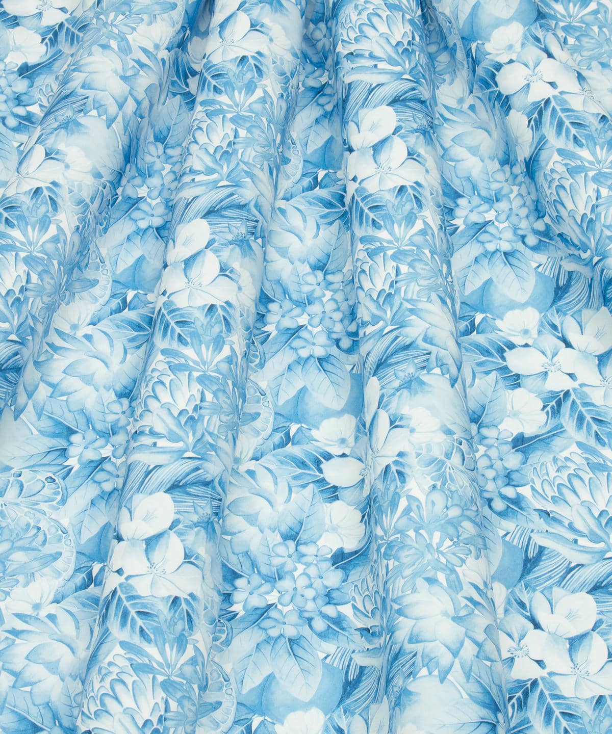 ポピー・アンド・フレディ タナローン