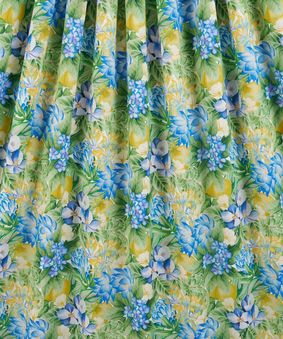 ポピー・アンド・フレディ タナローン