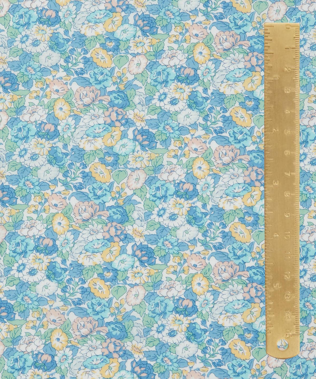 レオンタイン・ドリーム タナローン