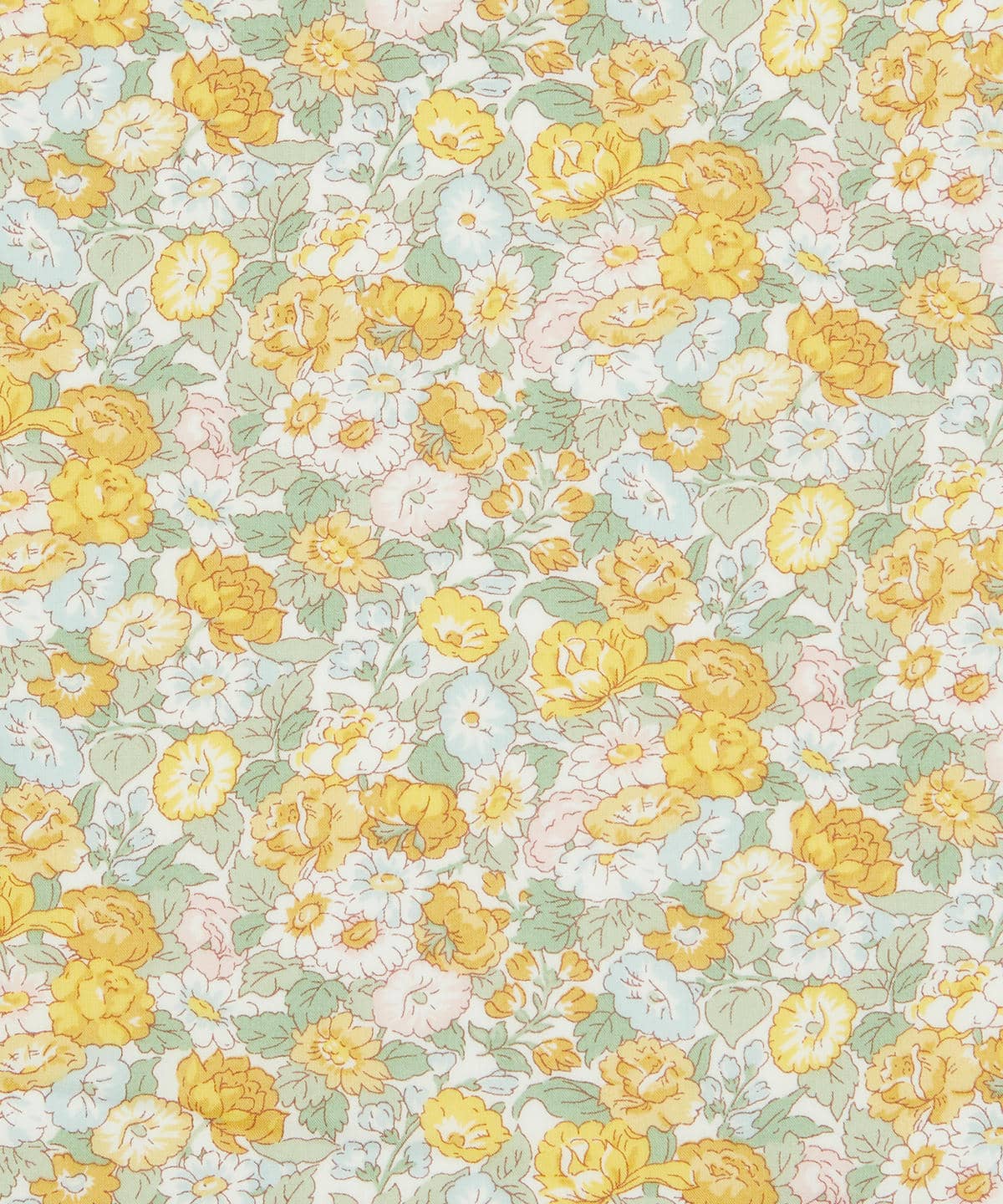 レオンタイン・ドリーム タナローン