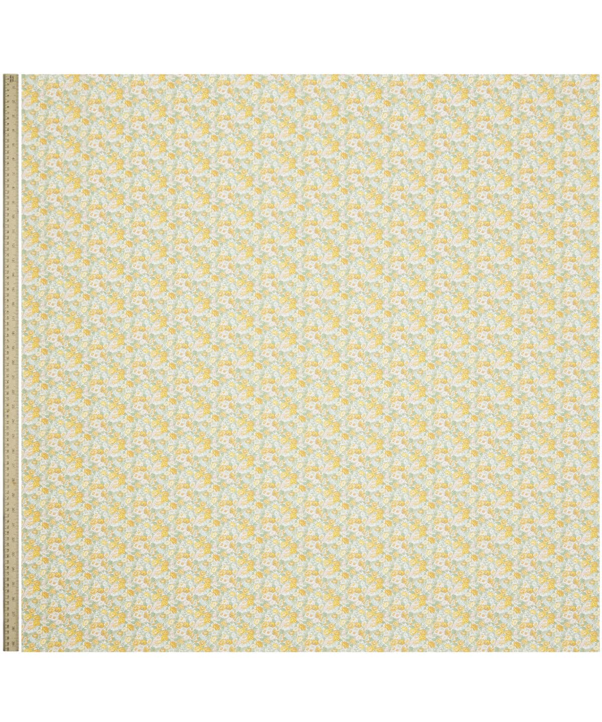 レオンタイン・ドリーム タナローン