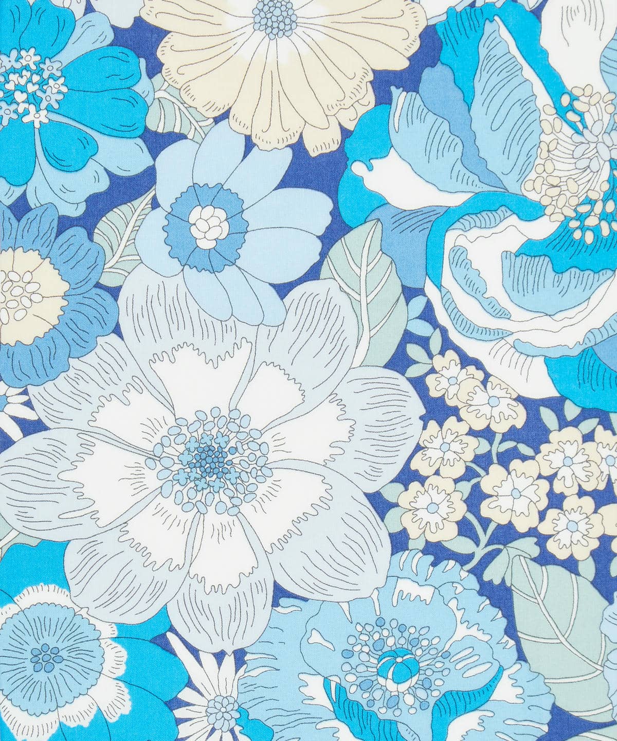 サマーズ・イン・ザ・サン タナローン