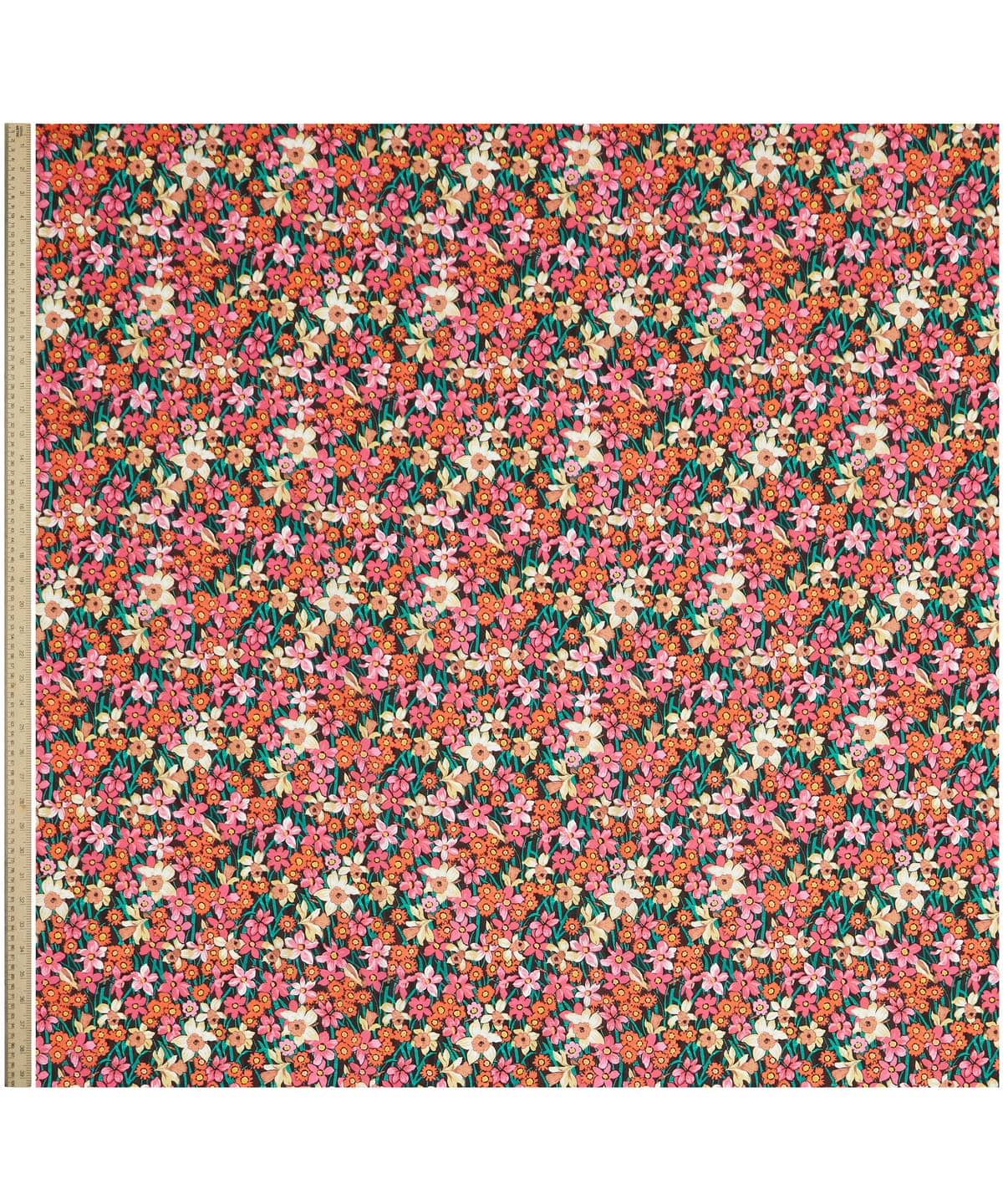 ダフォディル・デイズ タナローン