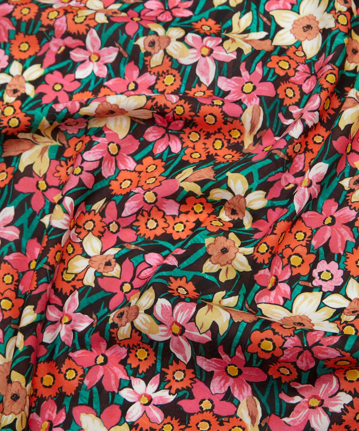 ダフォディル・デイズ タナローン