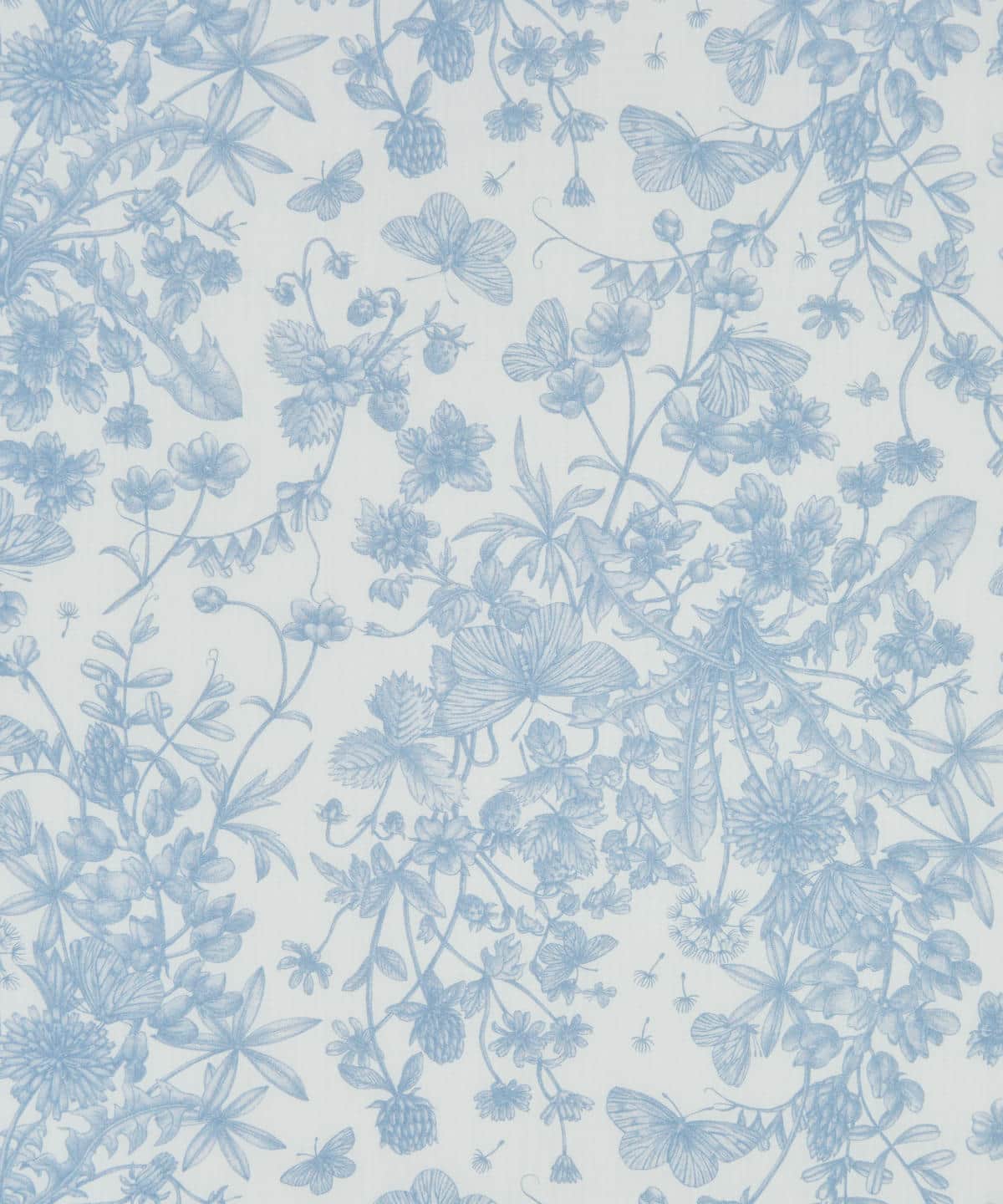 スプリング・メモリーズ タナローン