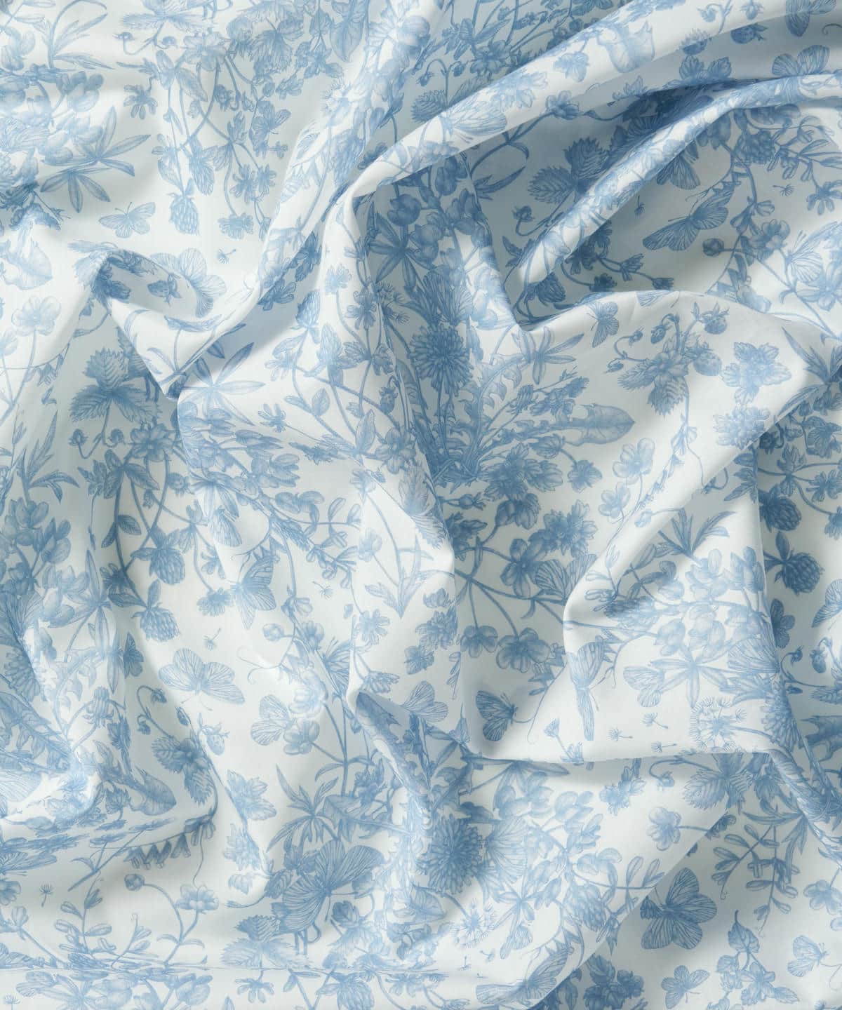 スプリング・メモリーズ タナローン