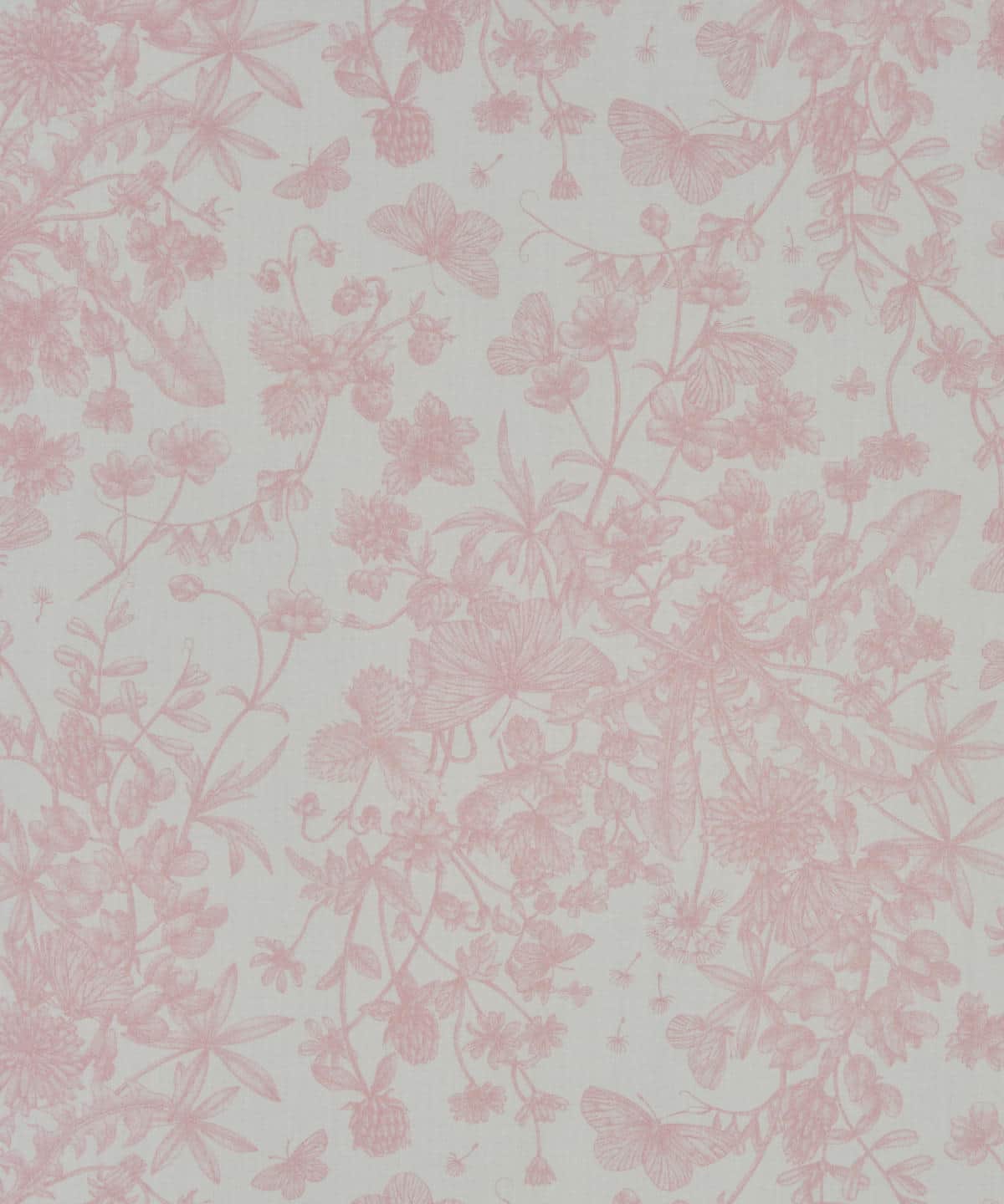 スプリング・メモリーズ タナローン