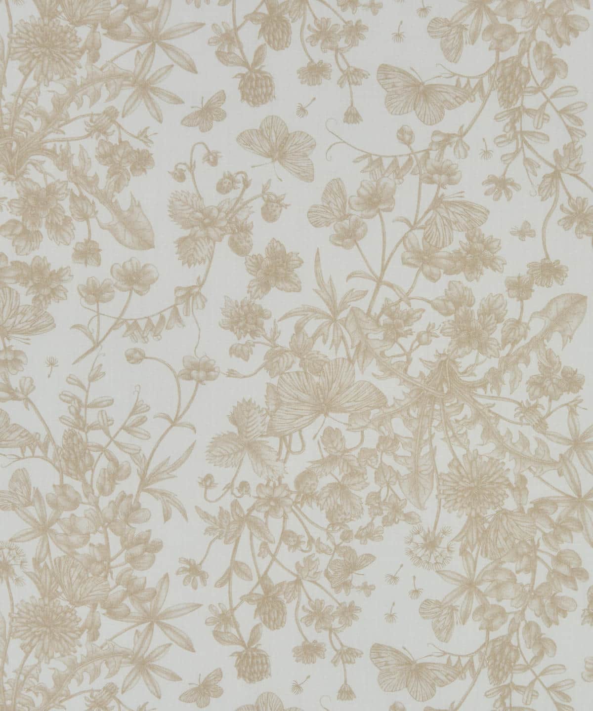 スプリング・メモリーズ タナローン