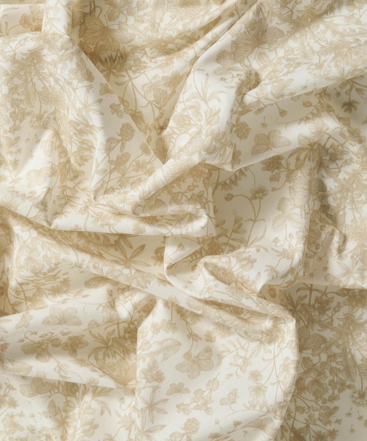 スプリング・メモリーズ タナローン