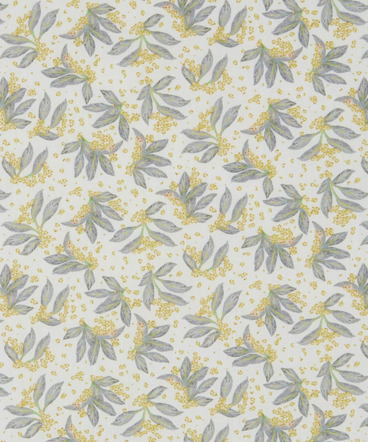 ポーセリン・キャノピー タナローン