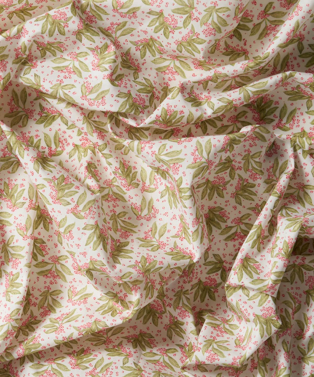 ポーセリン・キャノピー タナローン