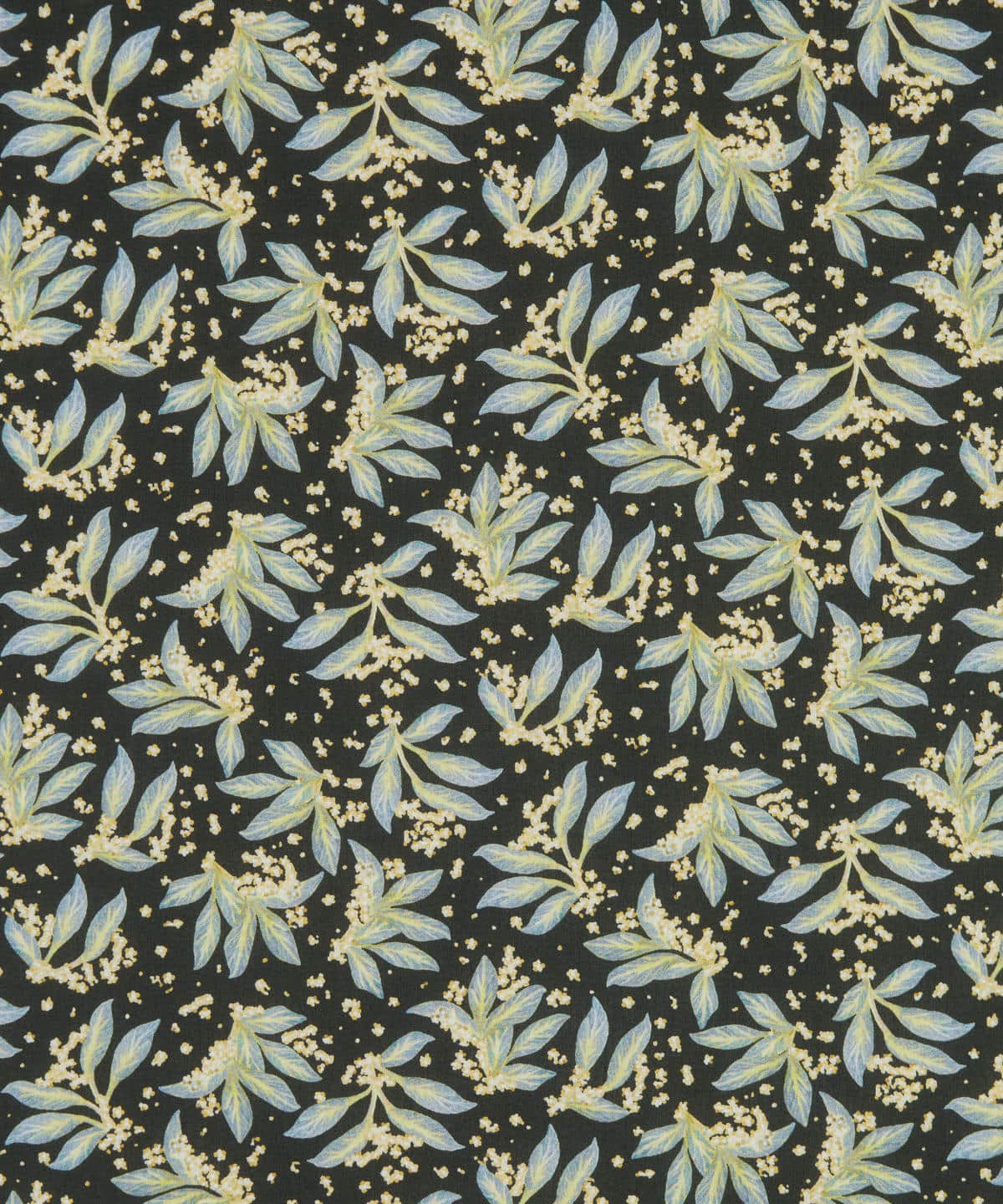 ポーセリン・キャノピー タナローン