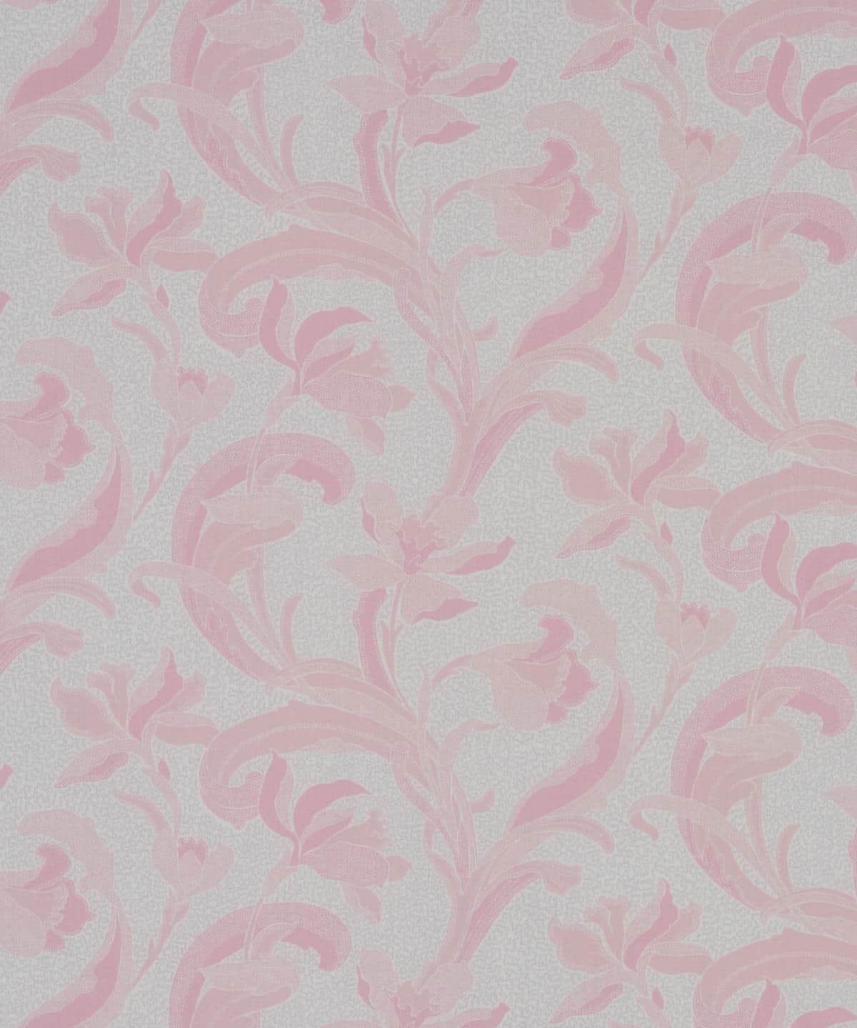 セラドン タナローン